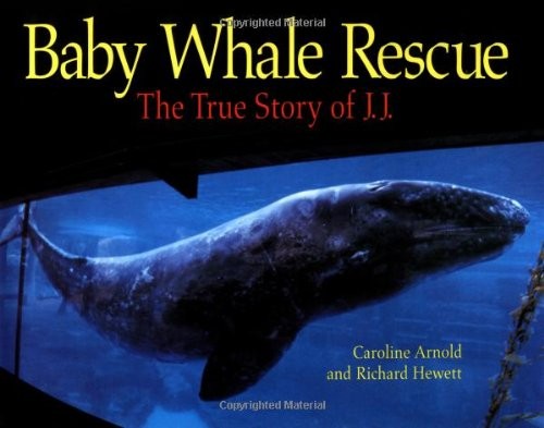 Baby whale rescue the - rescue:,