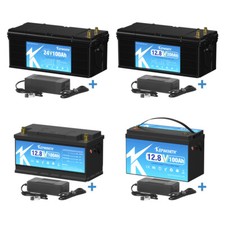 LiFePO4 12V 24V 36V 48V 100Ah
