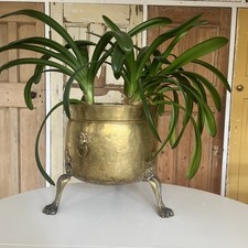 Large Brass  jardiniere planter With  lion head handles & claw feet