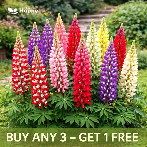 Russell lupin seeds mix 60 - russell,