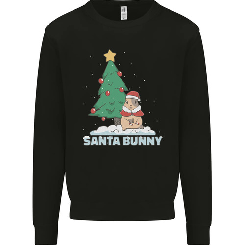 Santa bunny rabbit christmas - bunny,