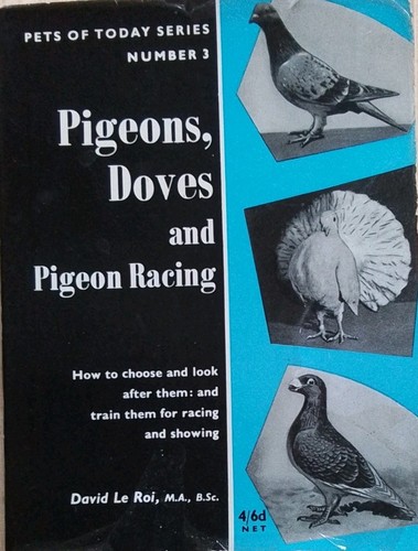 Pigeons doves and - pigeons,,