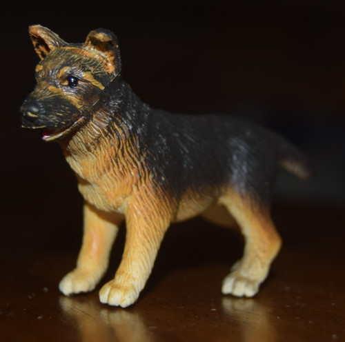 2004 safari german shepard - 2004,