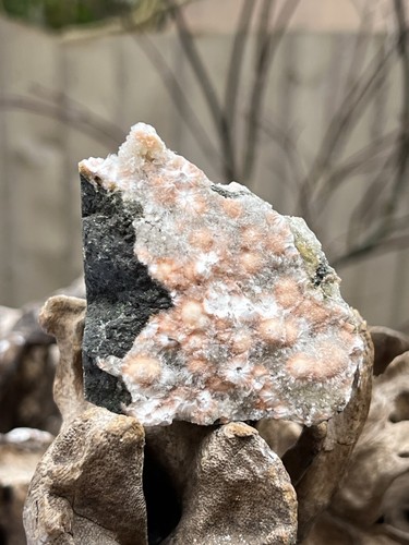 Thomsonite mesolite crystal - thomsonite, /