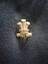 Leinster Regiment Collar Badge West Yorkshire Regiment Collar Badge Aged Lugs