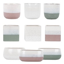 Ceramic speckled plant - plant, pot