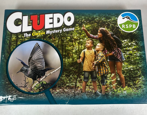 Cluedo board game - game, the
