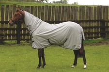 Masta Avante Fly Mesh Horse