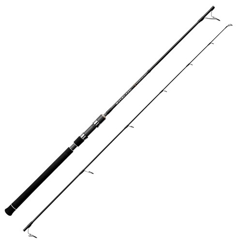 Tenryu spinning rod bayblaze - tenryu,