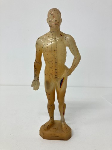 Acupuncture model human body - acupuncture,