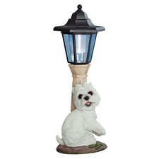 Westie Puppy Dog Garden