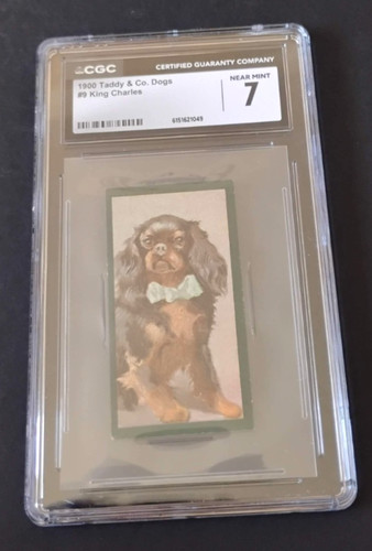 1900 taddy dogs 9 - co., #9