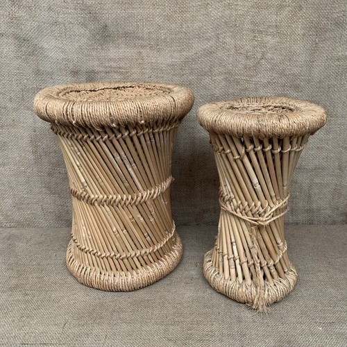 Vintage boho bamboo plant - boho,