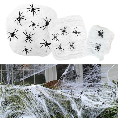 Spider web with - web, spiders