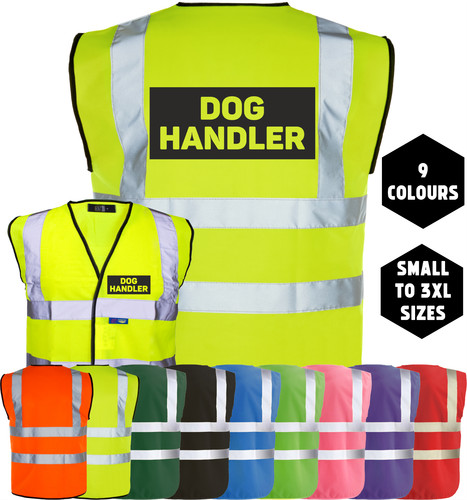 Dog handler canine training - dog,