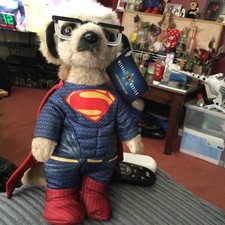 sergei superman meerkat new