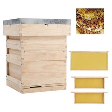 UK National Bee Hive Box Brood
