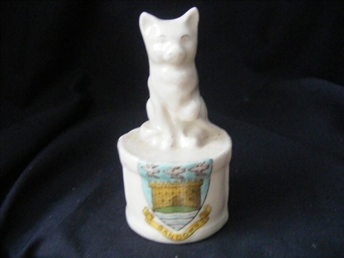 Crested china cat sitting - sitting, on