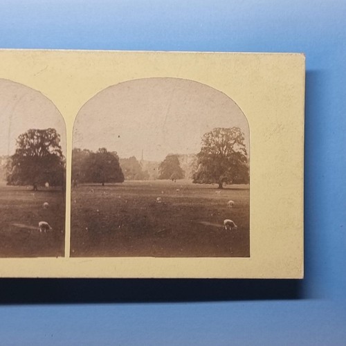 Unknown location stereoview - unknown,