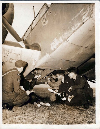 Airspeed oxford air crew - oxford,