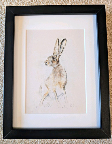 David pooley hare sketch print - david,