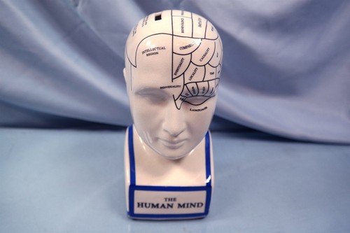 The human mind head coin - the, bank