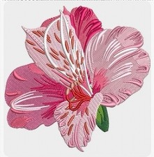 MACHINE EMBROIDERY DESIGNS USB