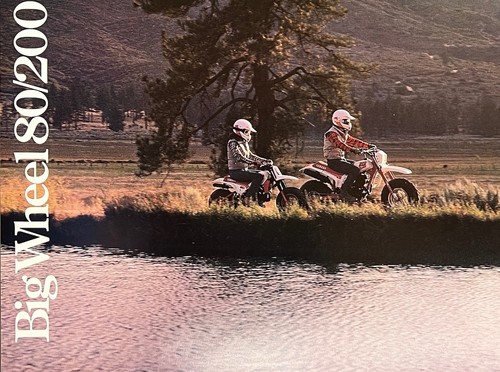1986 yamaha big wheel bw200 - 1986,
