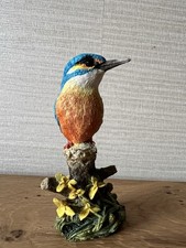 Border Fine Arts Kingfisher