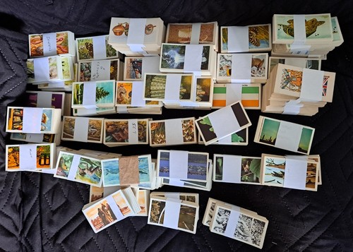 Full sets brooke bond tea - full,
