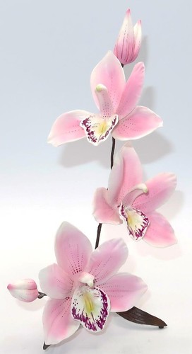 Boehm england cymbidium - cymbidium, pink