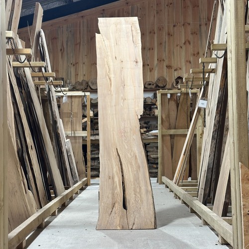 Maple plank board waney live - plank,