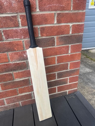 English willow youth cricket - english,