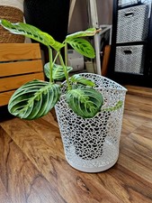 Vintage Industrial Wire Basket