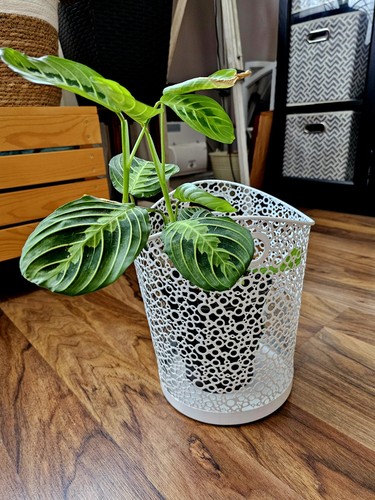 Vintage industrial wire basket - wire,