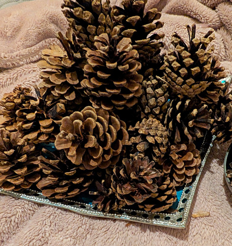 Large bag mixed natural - large, pine