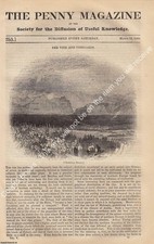 THE VINE AND VINEYARDS