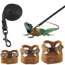 Maxqzin 3 Pack Bearded Dragon