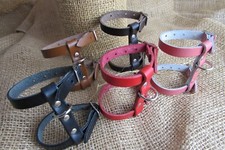 Ferret harness real - ferret, in