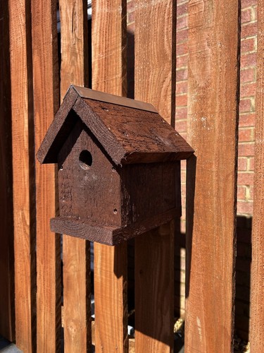 Wild bird nesting boxes - wild,