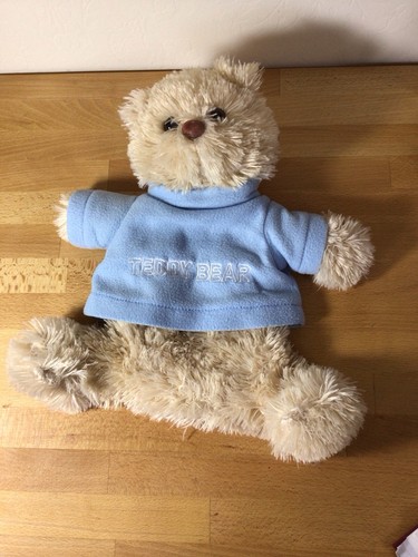 Used teddy bear - used,