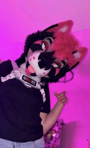 Fursuit partial with art - fursuit,