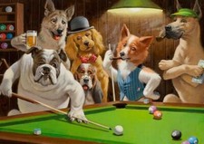 THE HUSTLER BB1 DOGS PLAYING POOL SNOOKER POSTER PRINT - A4 A3 A2 A1 A0 SIZES
