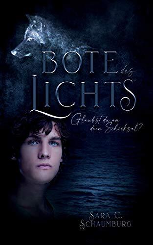 Schaumburg bote des lichts - schaumburg,