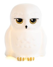Harry Potter Hedwig Night