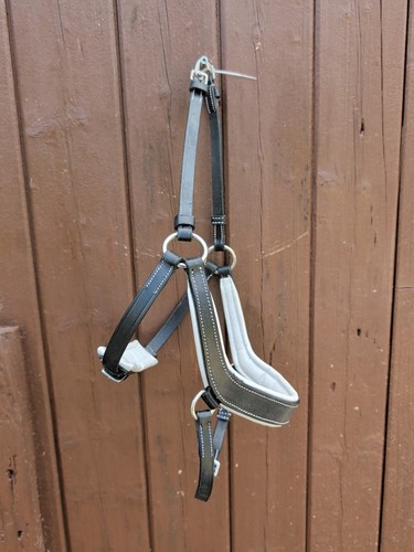 Curved flash noseband for - noseband,