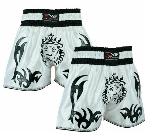 Evo kick boxing muay thai - kick,