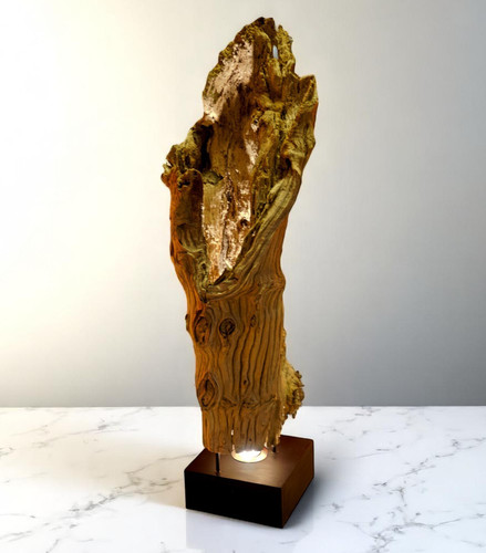 Driftwood floor lamp log - log, wood