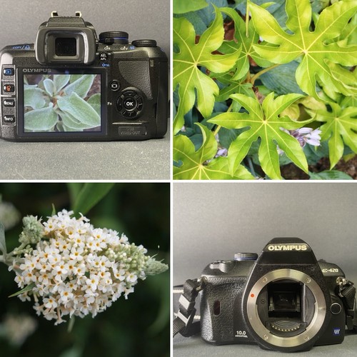 Olympus 420 10mp four - 10mp, thirds