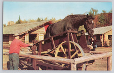 Postcard Frontier Town NY